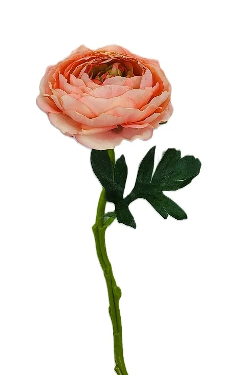 Ranunculus 32 cm, růžová