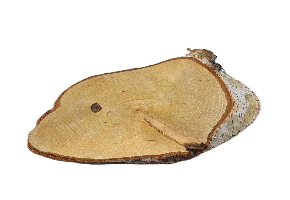 Kulatina 27x12 cm, bříza (ovál)