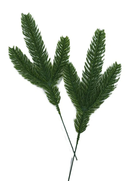 Chvojí jehličí smrk 24 cm T3