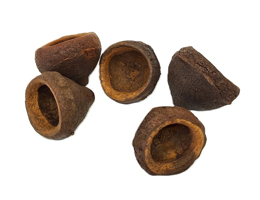 Chapeuzinho skořápka 5 - 6 cm, 1 ks