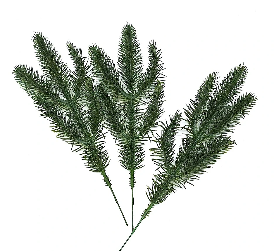 Chvojí jehličí smrk 30 cm T5