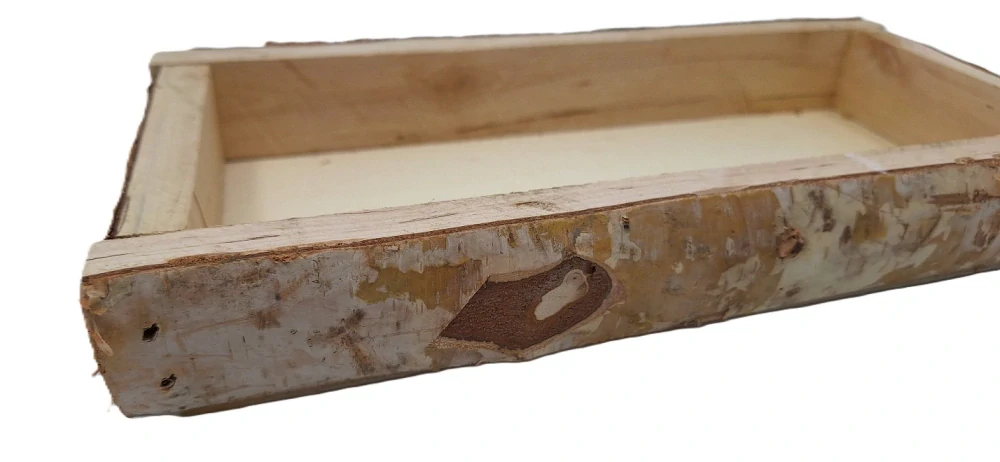 Podnos 28x14 cm bříza