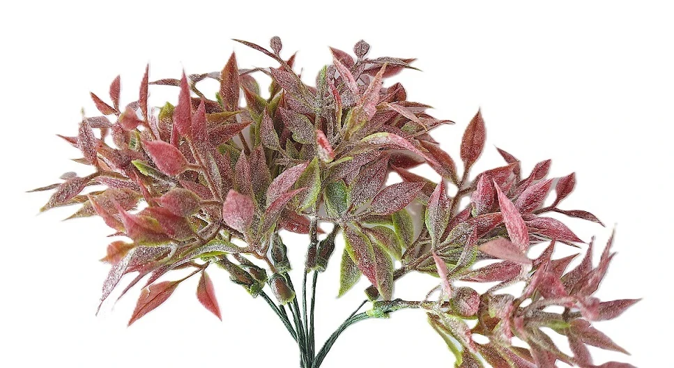 Listnatec 15 cm mini zelená/červená, 8 ks