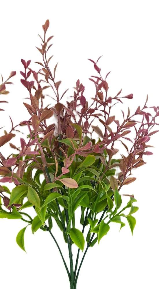 Listnatec 33 cm, zelená/fialová