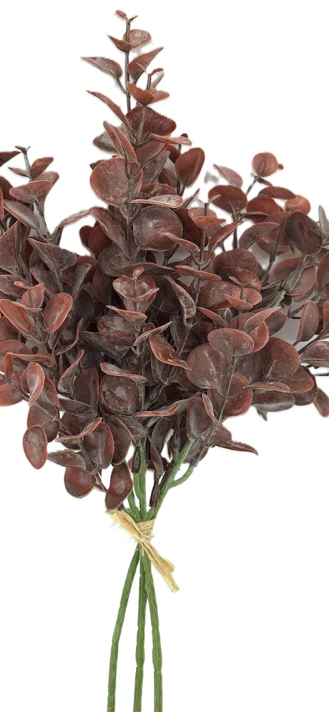 Eukalyptus 40 cm vínová, 3 ks (RS)