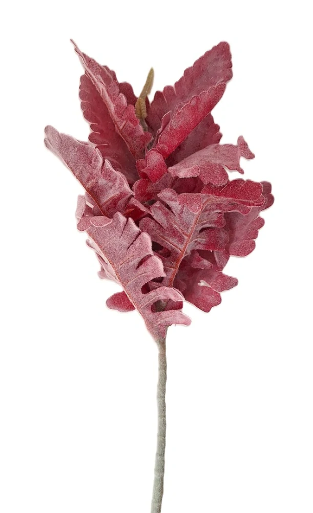 Starček 35 cm samet, vínová