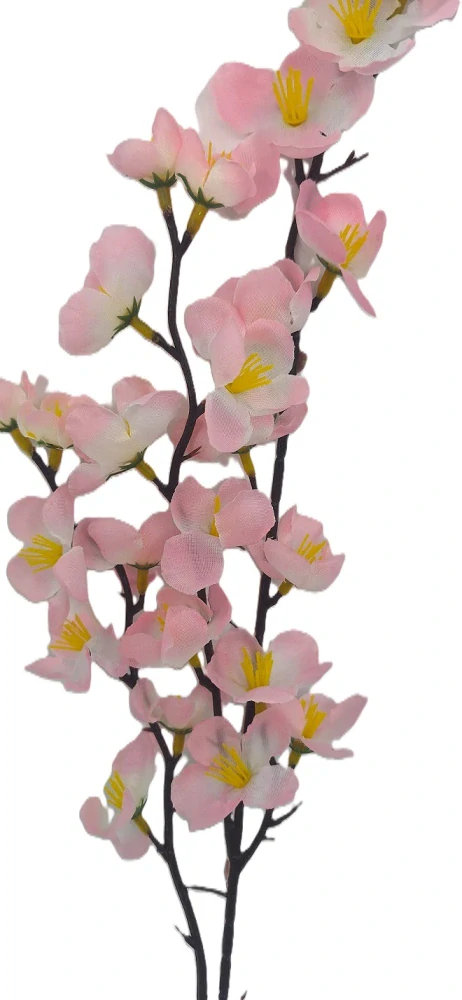 Větev 56 cm jabloň, žíhaná růžová