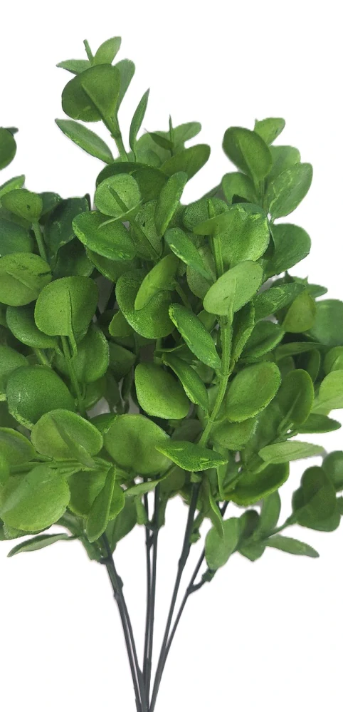 Eukalyptus 35 cm X6, zelená (RS)