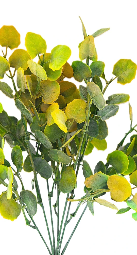 Měsíčnice 34 cm, zelená/žlutá