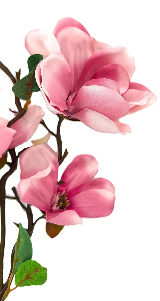 Magnolie 70 cm, růžová/bílá (PS)