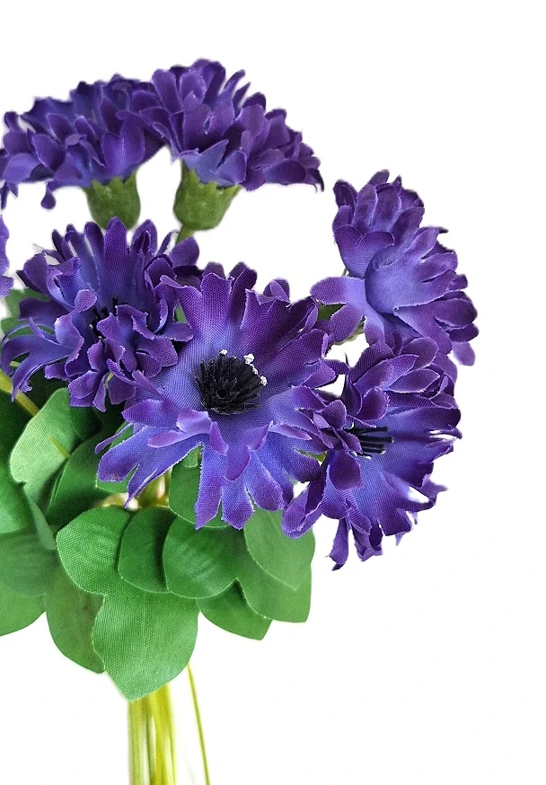 Chrpa 20 cm svazek 9 ks, modrá