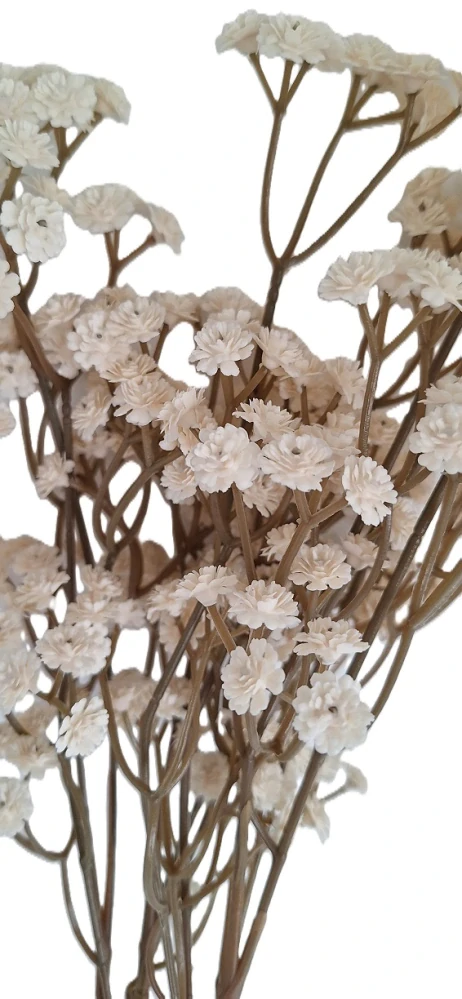 Šáter 61 cm, latté