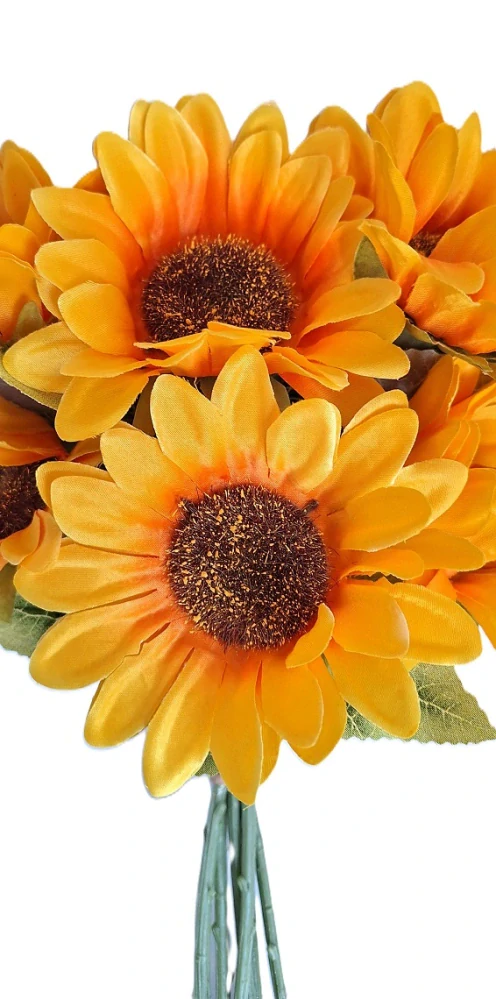 Slunečnice 33 cm/Ø 12 cm svazek 6 ks, žlutá