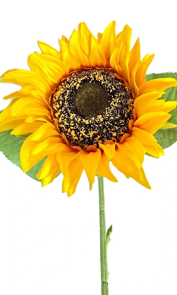 Slunečnice 41 cm/Ø 15 cm, žlutá