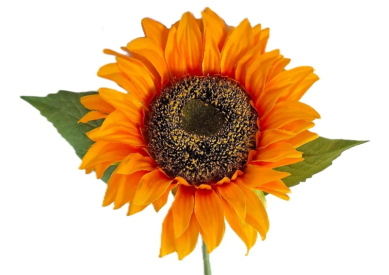 Slunečnice 41 cm/Ø 15 cm, žlutooranžová