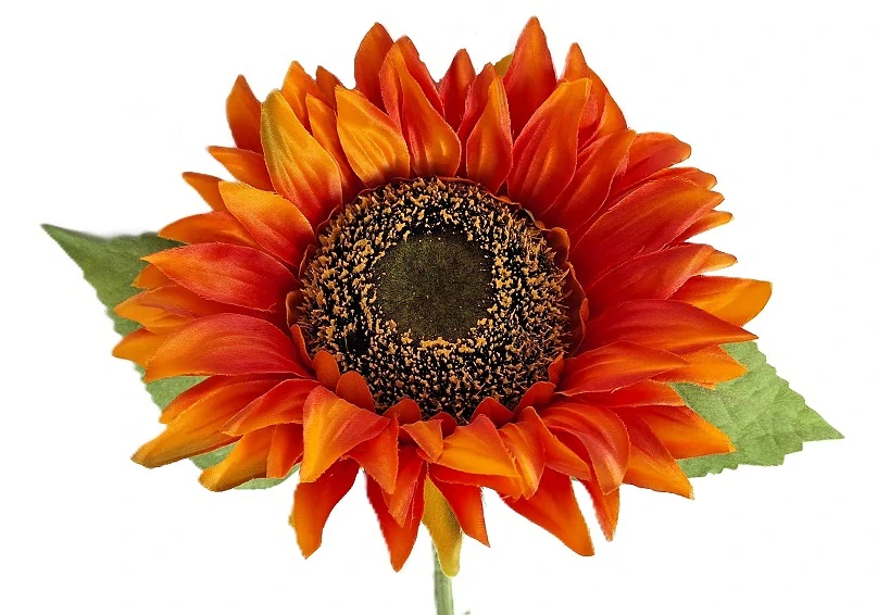 Slunečnice 41 cm/Ø 15 cm, oranžová