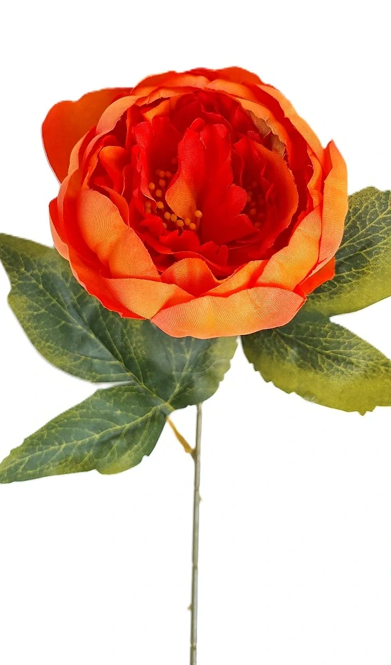 Pivoňka 53 cm, oranžová