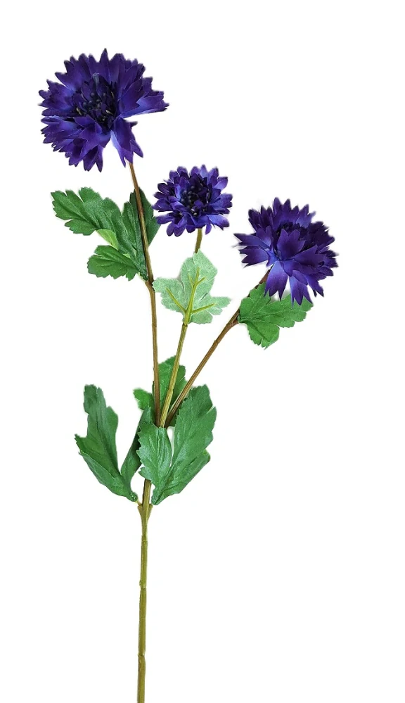Chrpa 66 cm (3 květy) modrá