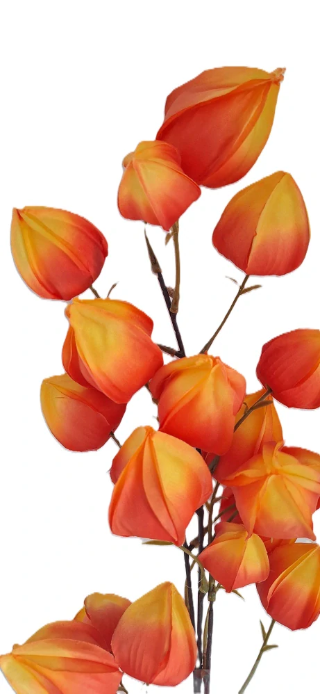 Mochyně větev 100 cm, oranžová