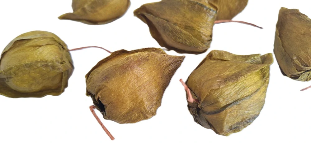 Mochyně plody 5 cm zelená, 6 ks