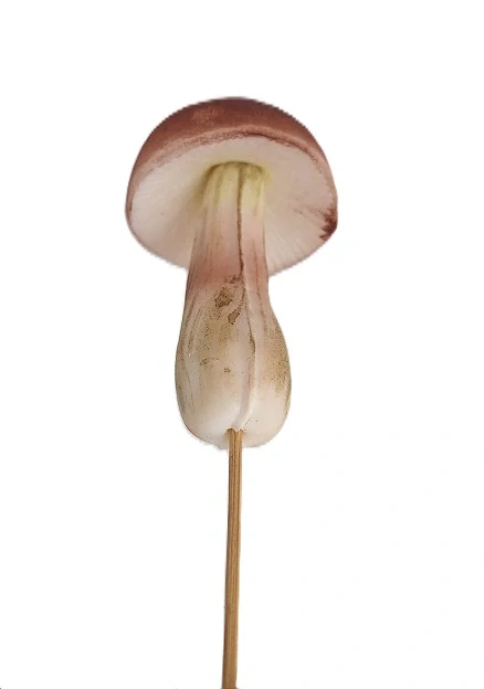 Hříbek 8 cm (PS)