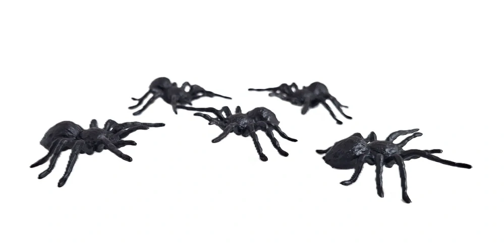 Pavouk 5 cm, černý