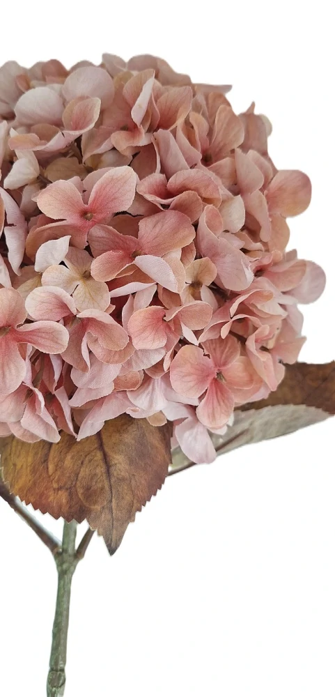 Hortenzie 65 cm, květ pudr růžová