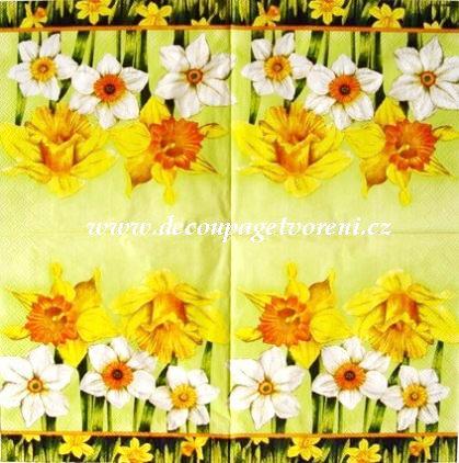 Narcis žlutý, bílý - zelená