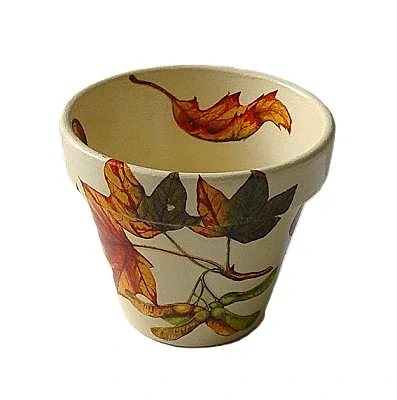 Obal 8 cm, listí a plody