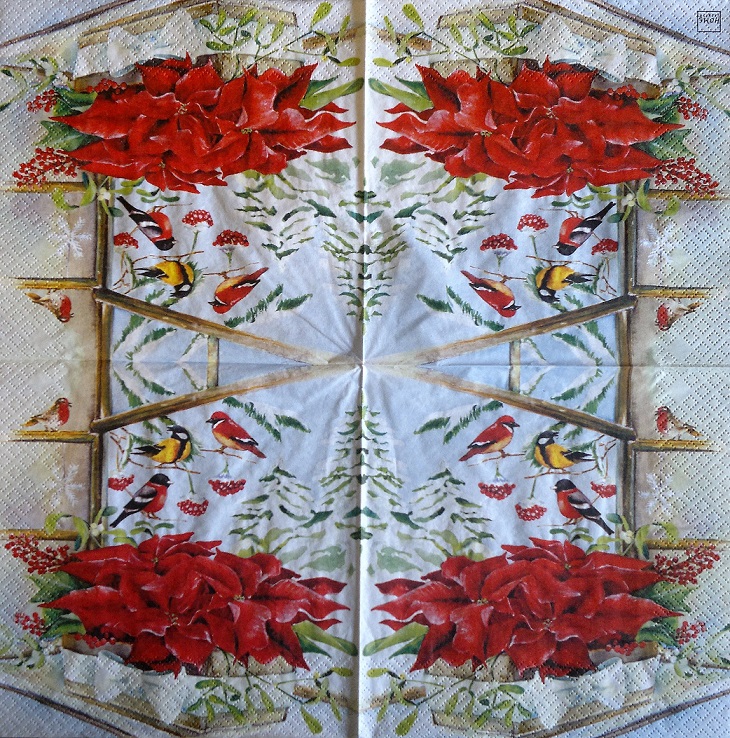 Vánoční hvězdy a ptáčci