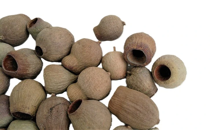 Bellgum přírodní, 5 ks