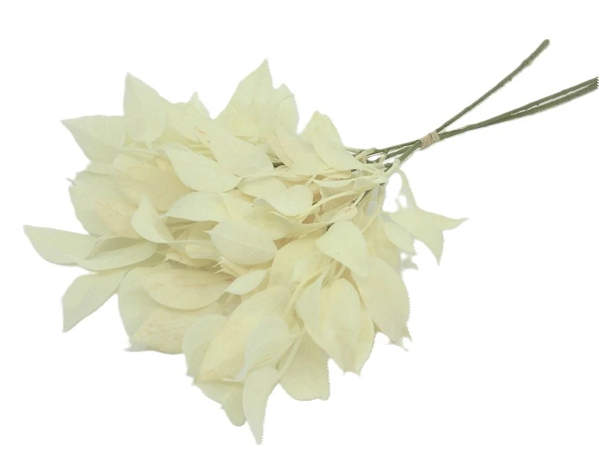 Listí Tirrea 42 cm/svazek 3 ks, bílá