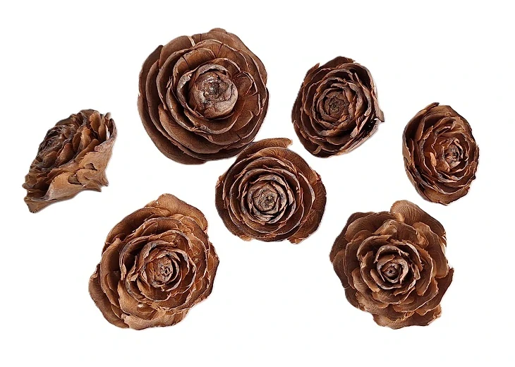 Květ Cedar Rose (přírodní), 5 ks