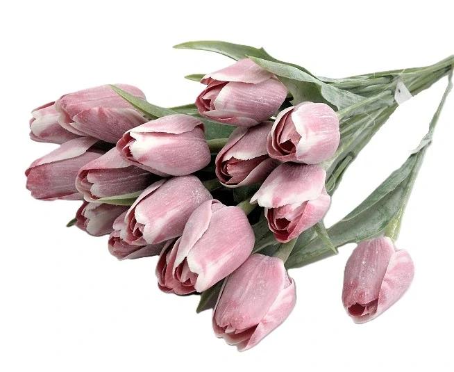 Tulipán 40 cm, White Red (A109)