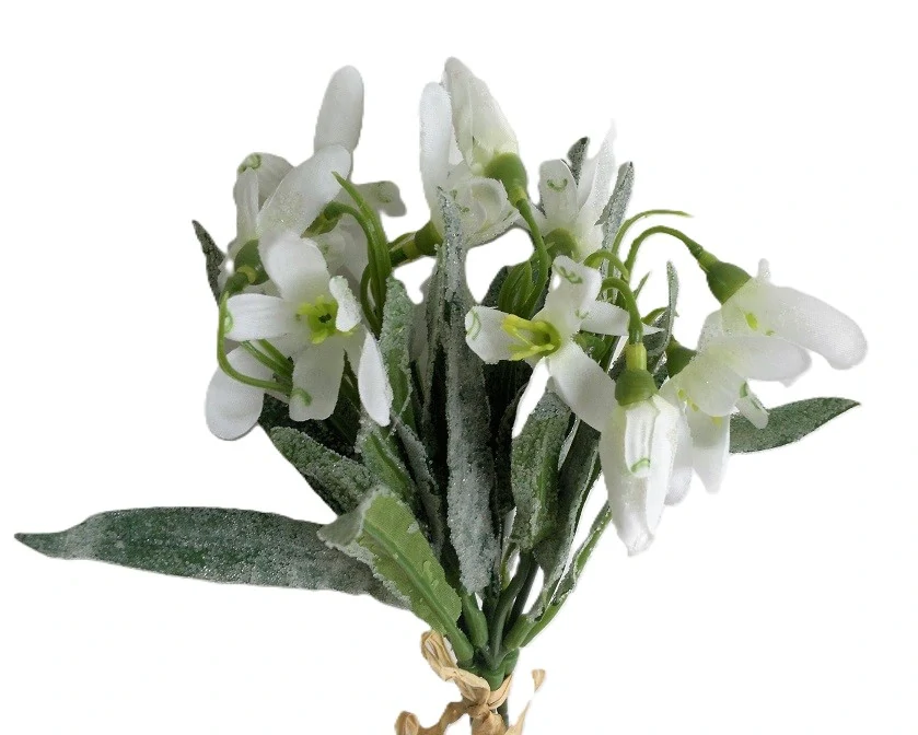 Sněženka 23 cm (zmrazky), 5 ks