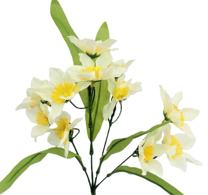 Narcis 33 cm (12 květů) s listy, bílá