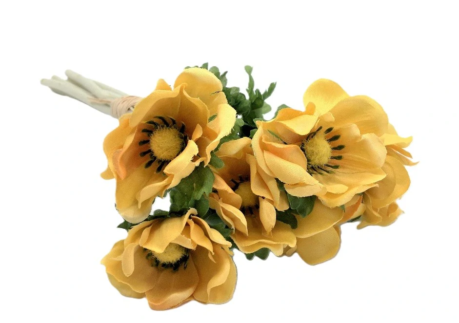 Sasanka 30 cm, 6 ks žlutá