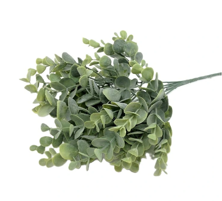 Borůvka keřík 30 cm X5, zelená