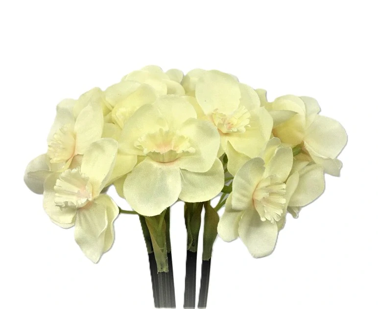 Narcis 40 cm (12 květů) krémová, 3 ks