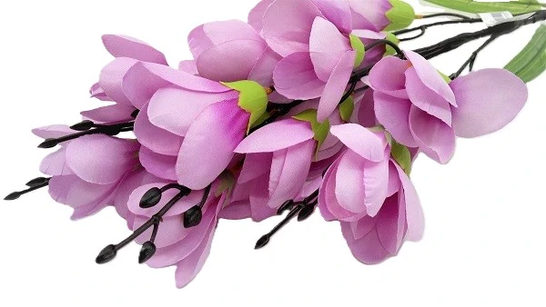 Magnolie 50 cm X20, růžová tmavá