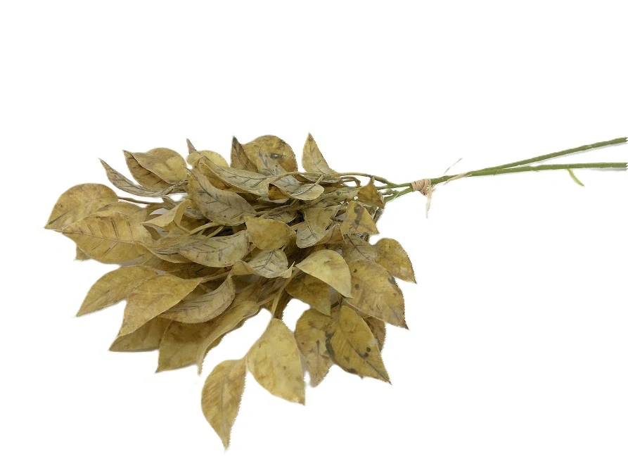 Listí Tirrea 42 cm/svazek 2 ks, žlutá/šedá (doprodej)