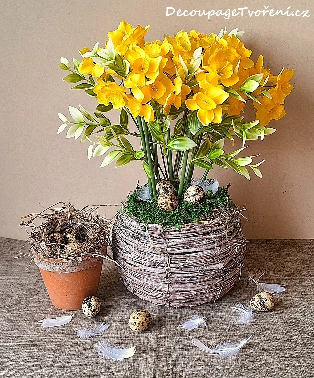 Narcis 33 cm (5 květů) žlutá, 3 ks