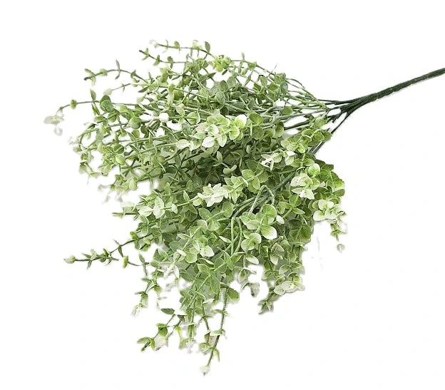 Eukalyptus drobnolistý 35 cm, zelená/bílá