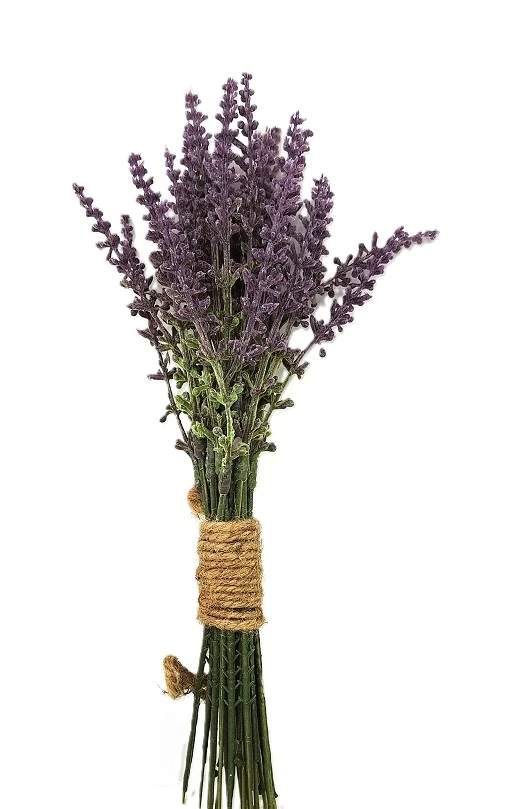 Levandule 27 cm, svazek 24 ks