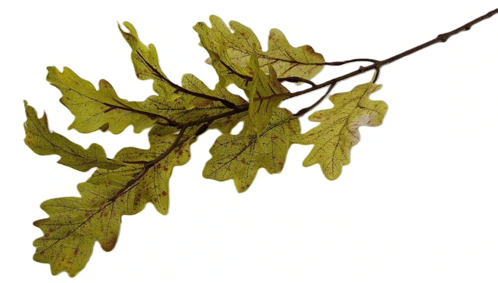 Větev dub 65 cm/X12, žíhaná zelená