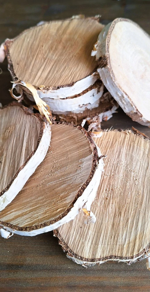 Kulatina 10 cm, bříza (LC)