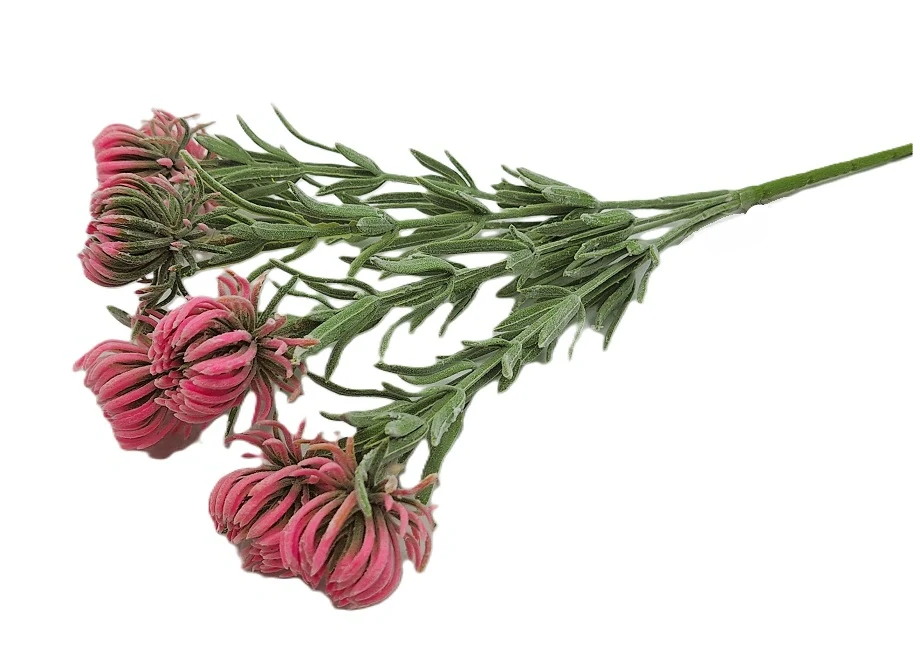 Chrpa 35 cm keřík 7 květů, růžová