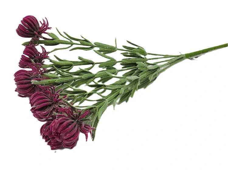 Chrpa 35 cm keřík 7 květů, vínová