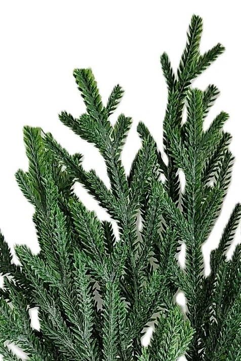 Větvička tis 40 cm, zelená