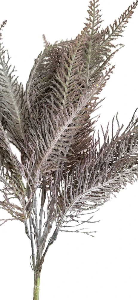 Kapradí 44 cm X7, šedá tmavá